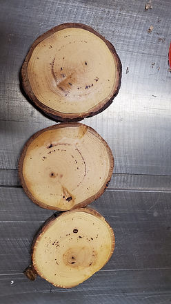 Pecan Coasters.jpg