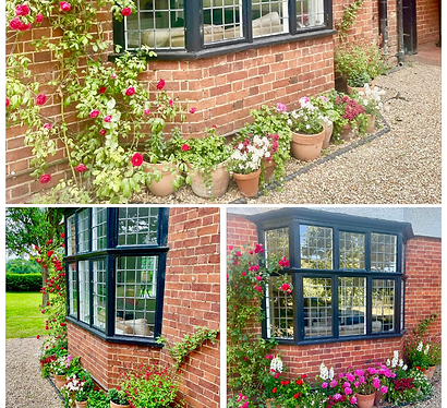 Blue and White Photo Collage Surf Instagram Post (2).png