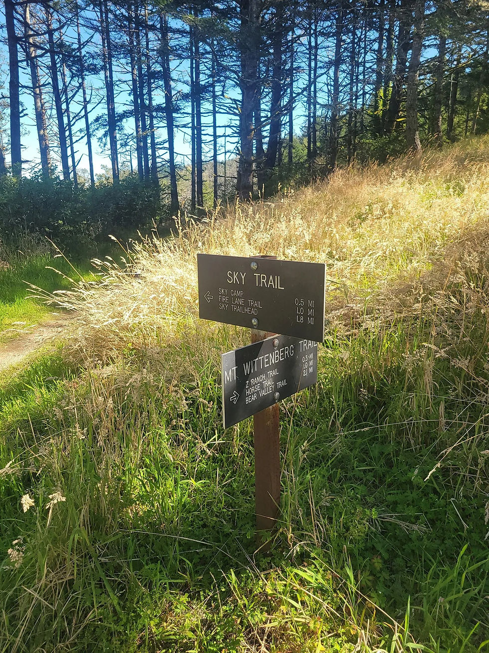 LONG: Sky Trail and Bear Valley Loop
