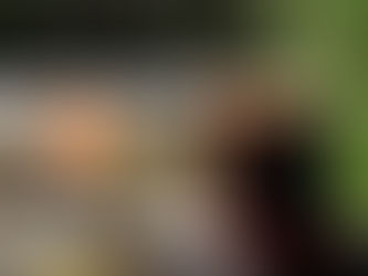 Propane vs Gas Generator: Which Is Better?