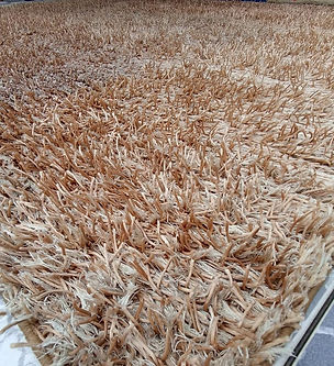 Depois Lavanderia de Tapete JP_edited.jpg