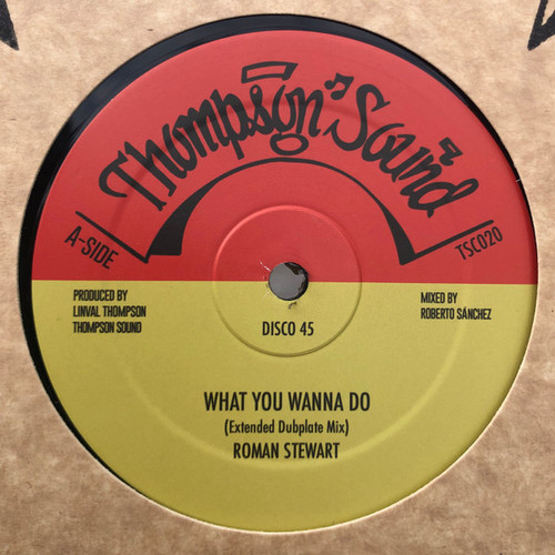 Roman Stewart / Nazamba – What You Wanna Do / Africa | Rasta Rebel