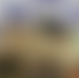 PM intercepta carro que iria entregar mais de 470 munições a suspeitos de crimes na Capital