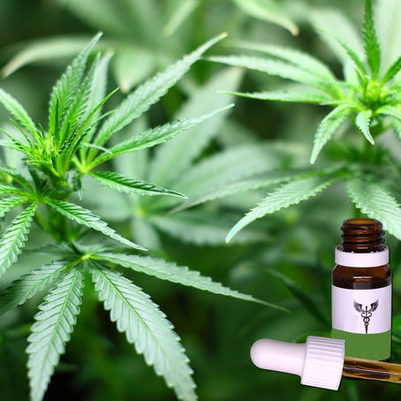 Comissão de Saúde da ALPB aprova projeto de incentivo à pesquisa da Cannabis Medicinal