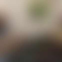 Secretário de Saúde e CRM discutem melhorias para o Isea