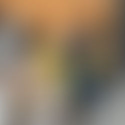 Projeto Mãos Que Ajudam a Preservar Vidas realiza ação de serviço comunitário