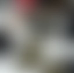 Polícia Militar apreende quase 150 munições de quadrilha que estaria atuando em crimes no Sertão