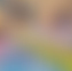 【飛魚躍浪，活力爆發！💦】