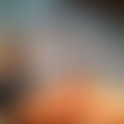 啓思中小幼聯校專業發展日圓滿成功