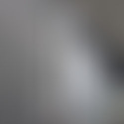 五年級網上參觀立法會