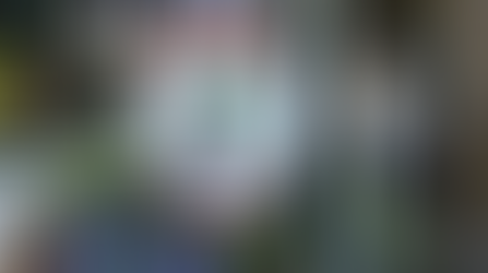 Dining with the Characters - Disneyland