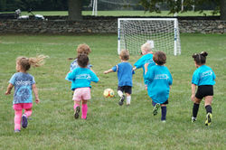 U4 Hawaiian Jim's v Ecologic Insulation