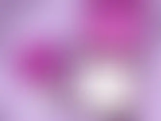 The Unboxing Experience Revolution: How Custom Packaging Elevates Your Brand