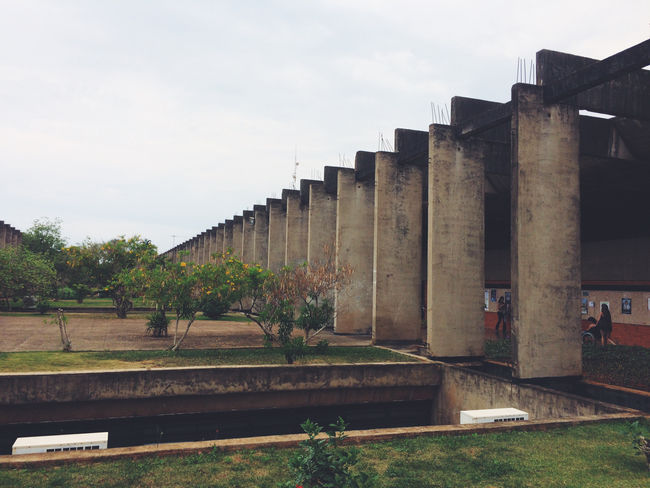 Projeto de Lei do Senado elimina obrigatoriedade do TCC