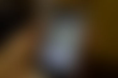 WhatsApp de denúncias da UnB registra 85 notificações em agosto