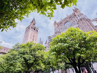 EURONET BUYS PAYNOPAIN FOR SPAIN PUSH