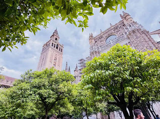 EURONET BUYS PAYNOPAIN FOR SPAIN PUSH