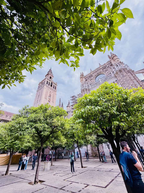 EURONET BUYS PAYNOPAIN FOR SPAIN PUSH