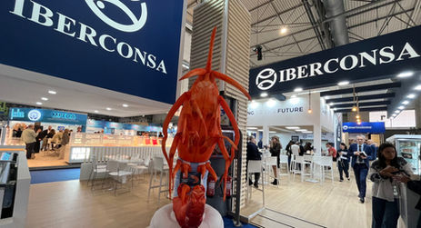 Iberconsa liabilities surge as shrimp season collapses