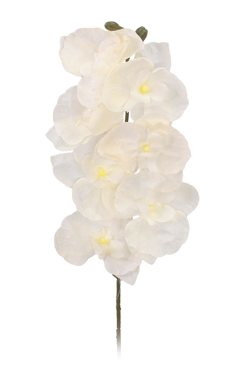 Miniatura: ORQUÍDEAS COM 7 FLORES 51CM