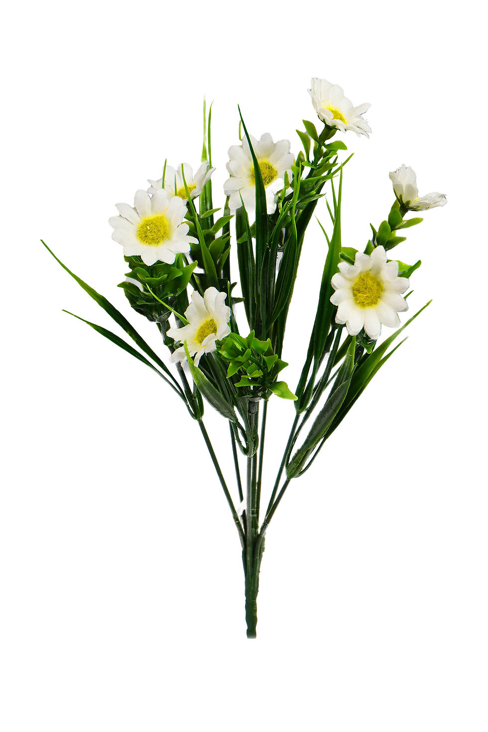 Miniatura: VERDE 7 GALHOS 7 FLORES