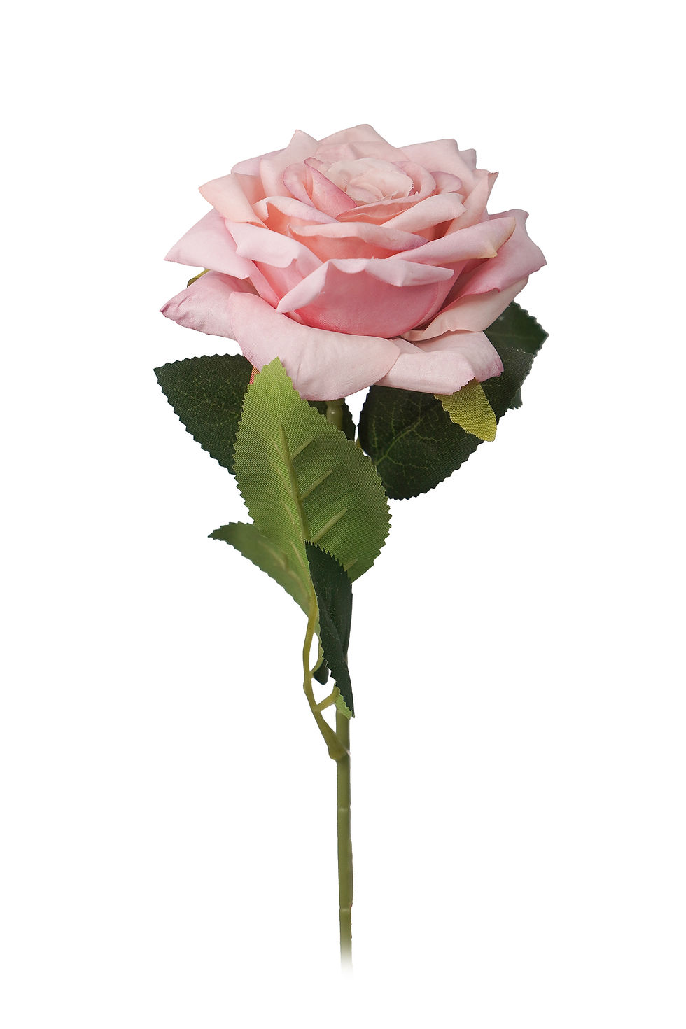 Miniatura: HASTE ROSA SOL 50CM