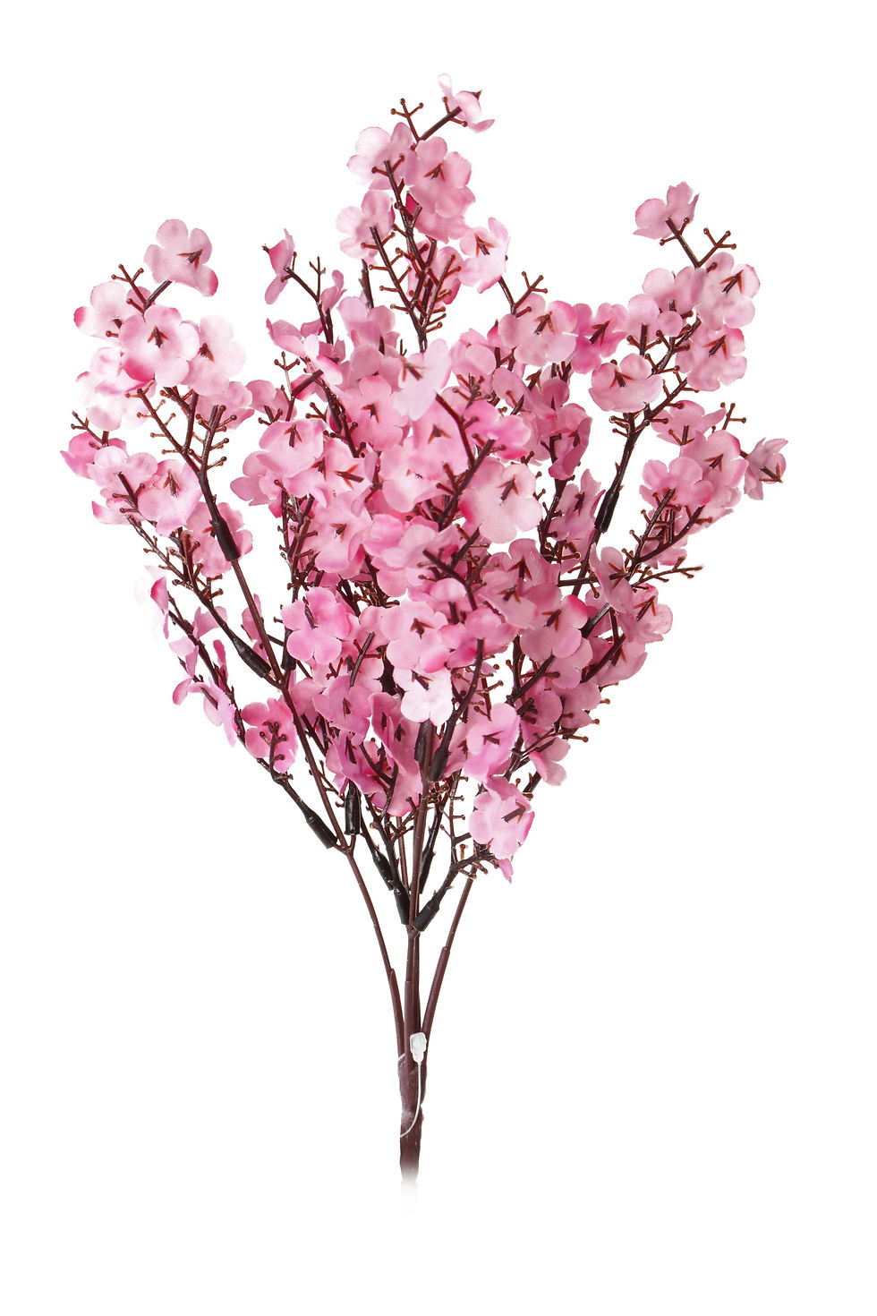 Miniatura: BUQUÊ GYPSOPHILA 150 FLORES