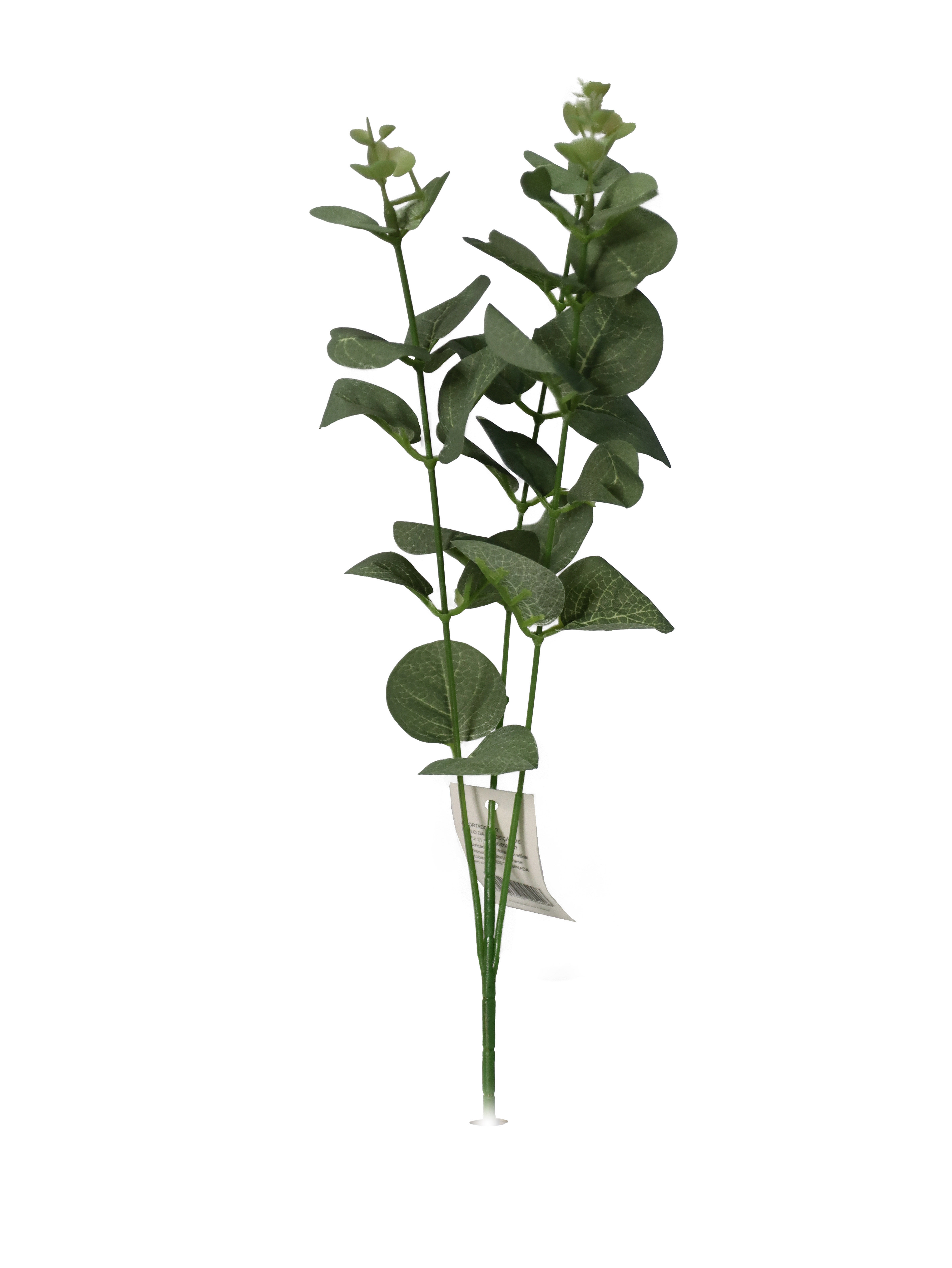 HASTE DE  EUCALÍPTO