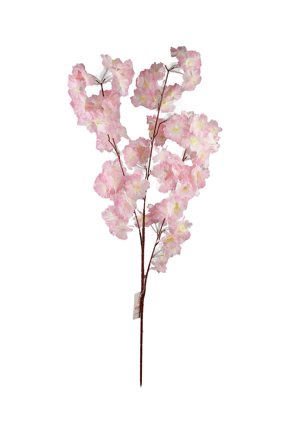 Miniatura: HASTE DE CEREJEIRA 98CM