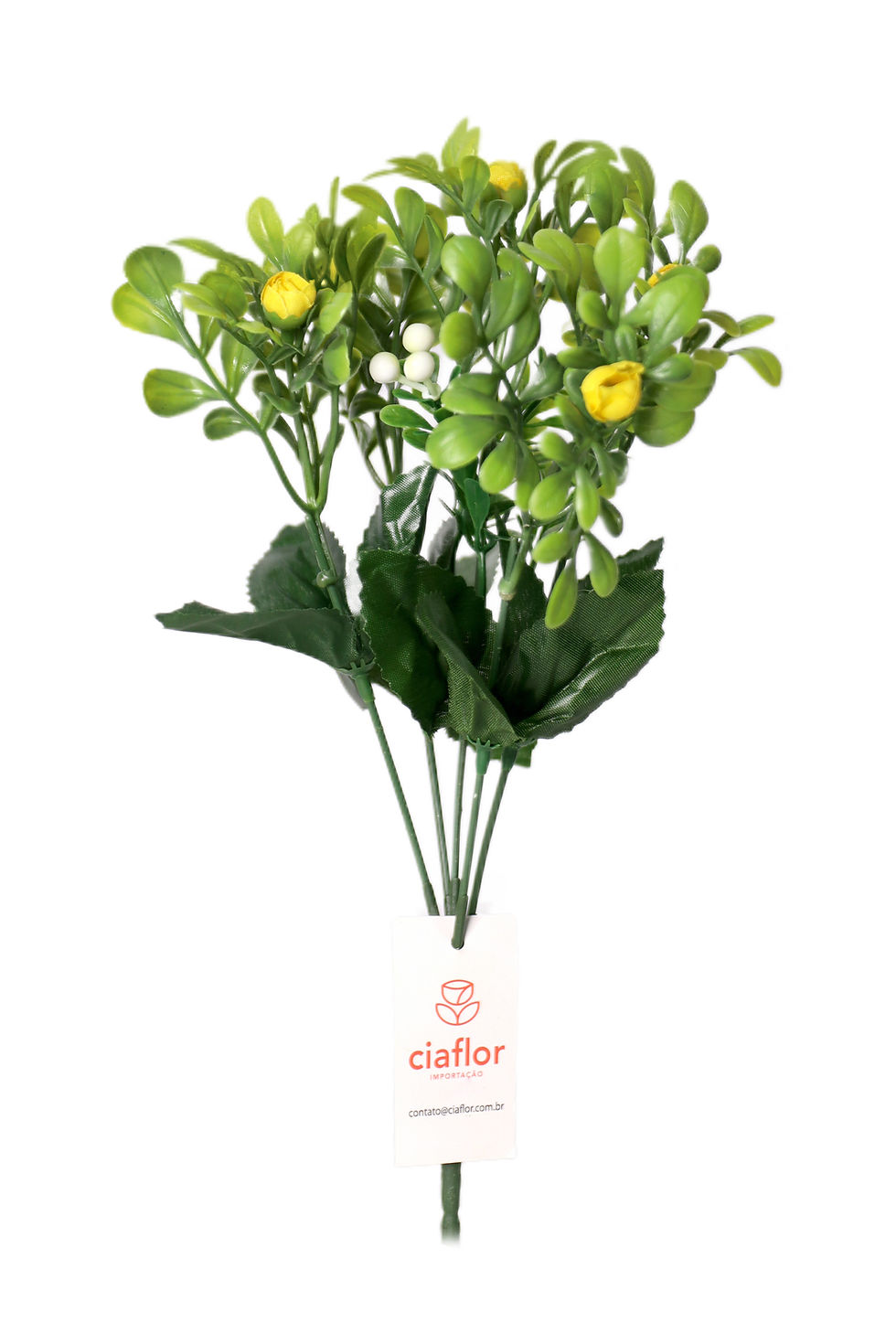 Miniatura: Verde 05 Flores