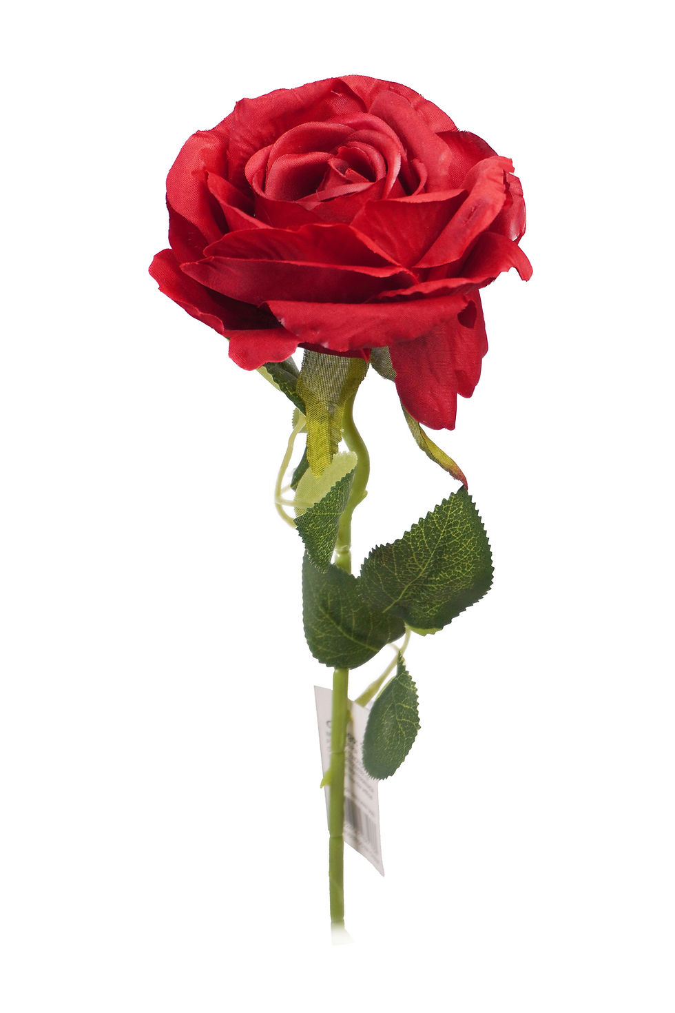 Miniatura: HASTE DE ROSAS ABERTAS 50CM