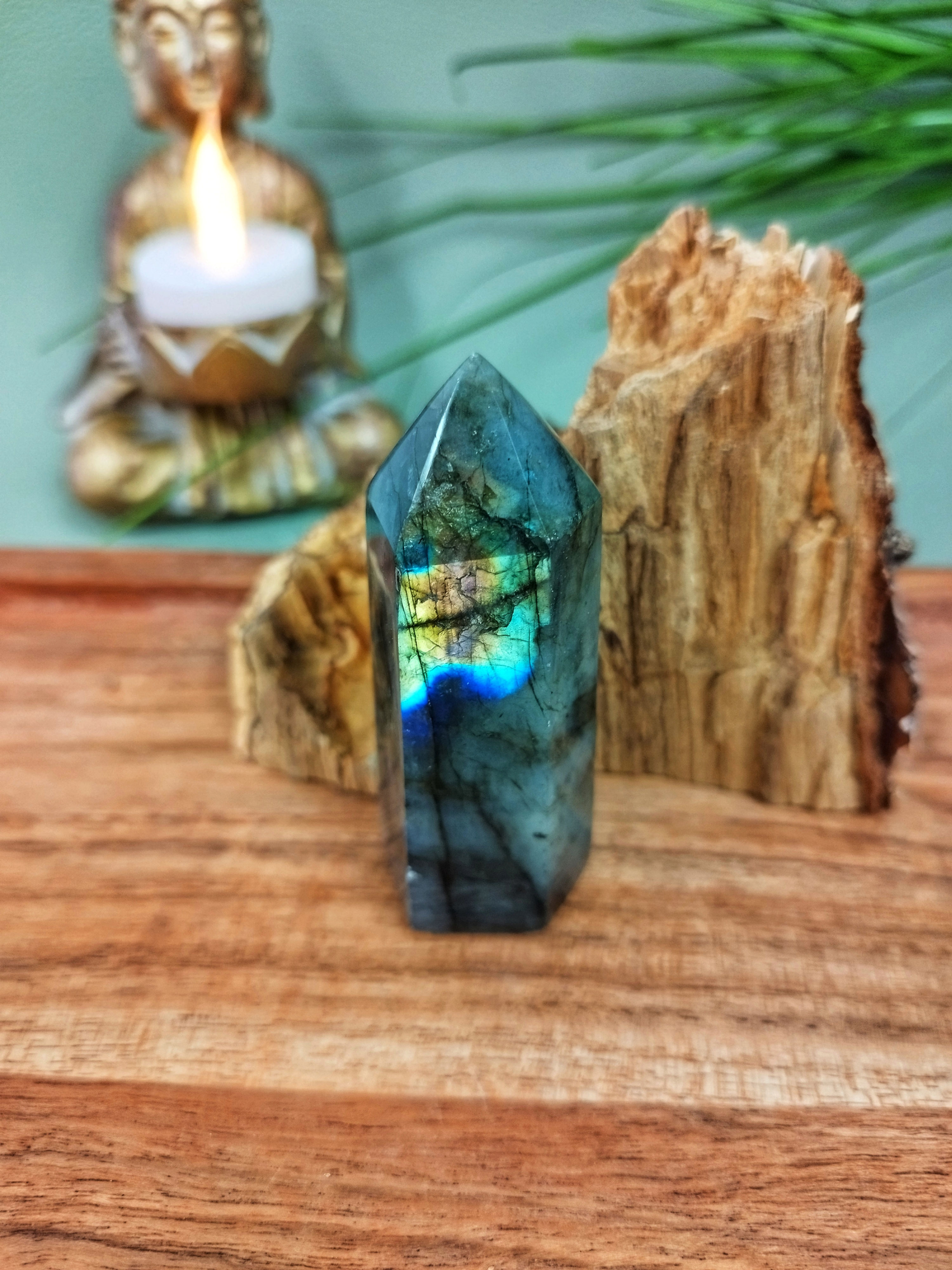 Labradorite Pointe