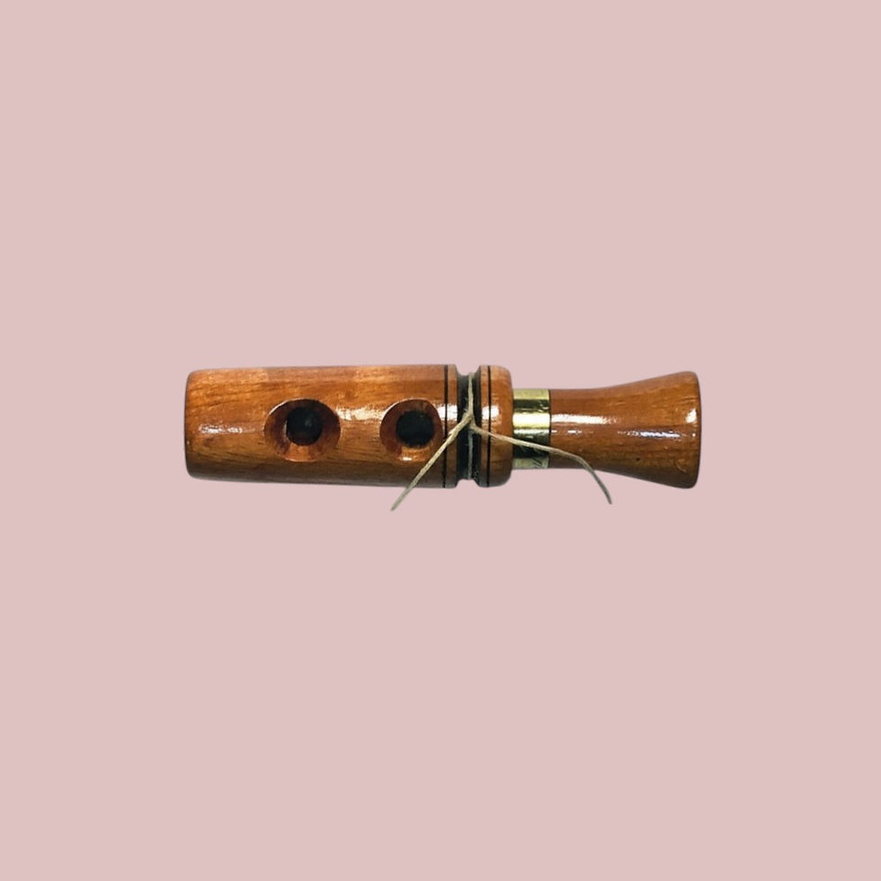 Thumbnail: Pintail Whistles