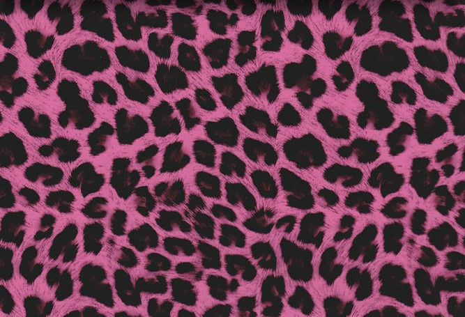 Hot Pink and Black Snow Leopard