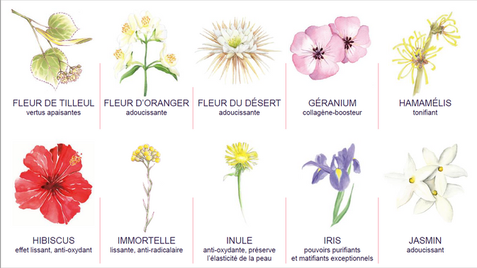 Capture d’écran 2022-04-26 150754.png