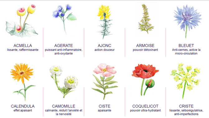 Capture d’écran 2022-04-26 150705.png