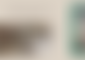 What's On My Shelf: The Radiant Woman