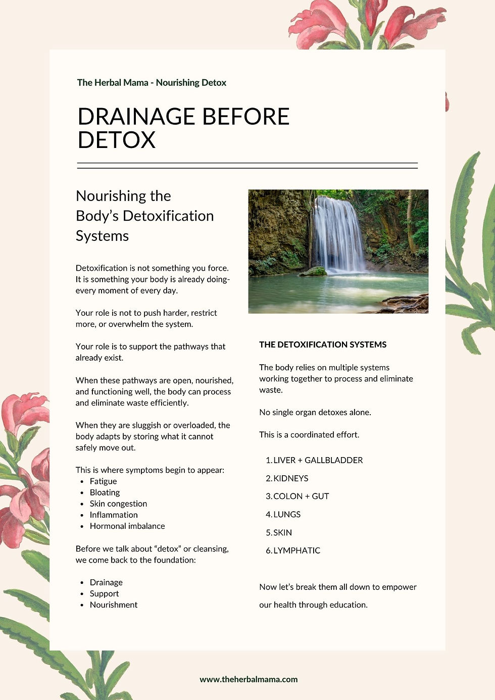 Thumbnail: Nourishing Detox Guide - PDF Download