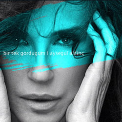 Ayşegül Aldinç