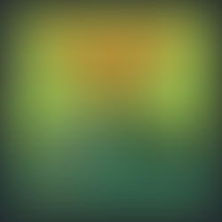 Halloween Story Writing Contestants