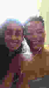 Faceswap