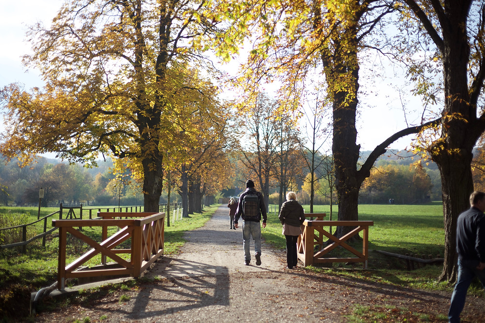Lainzer Tiergarten