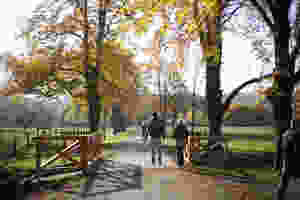 Lainzer Tiergarten