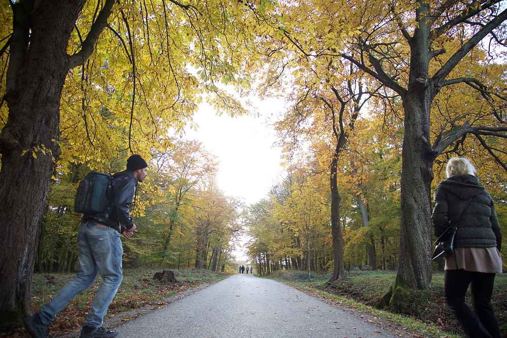 Lainzer Tiergarten