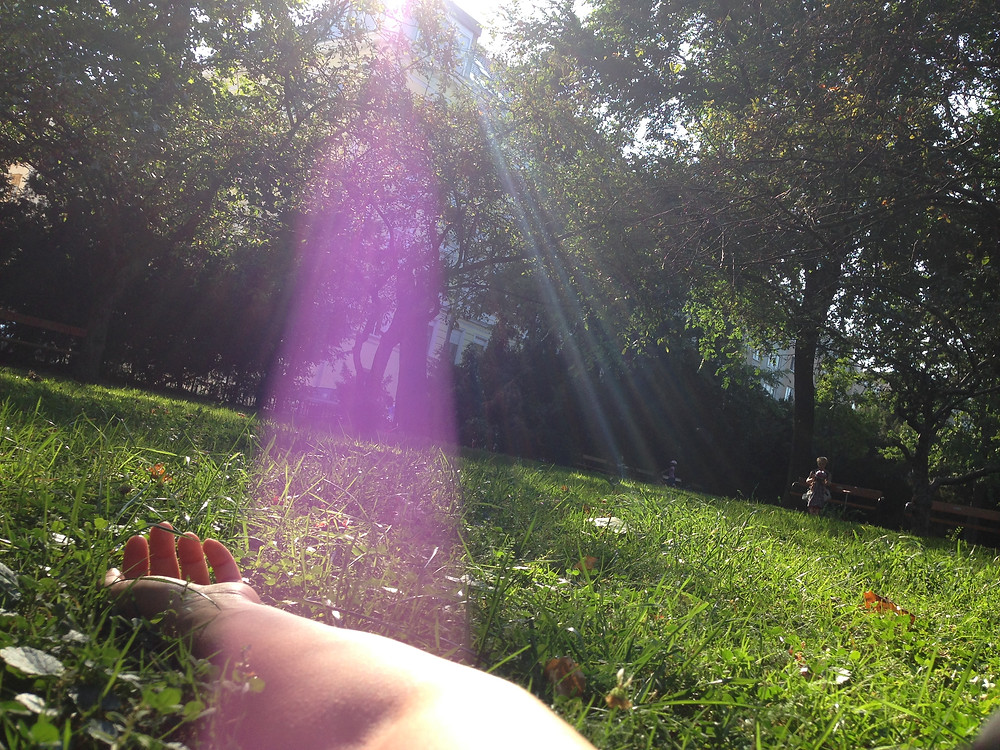 Währinger Park