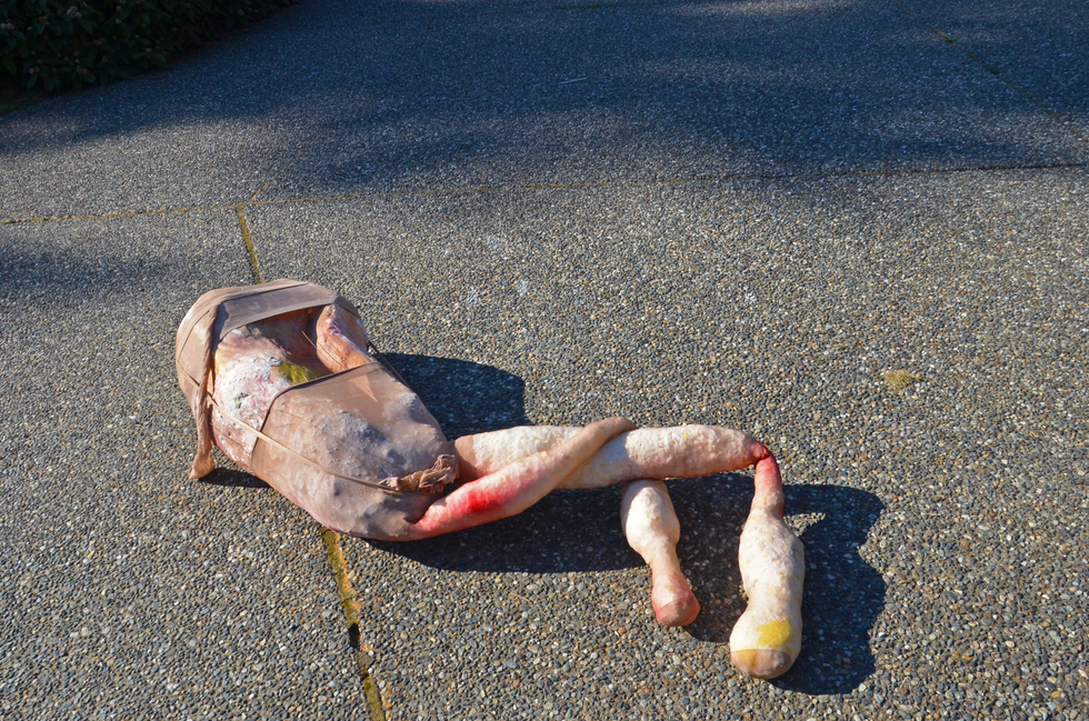DSC_2176.png