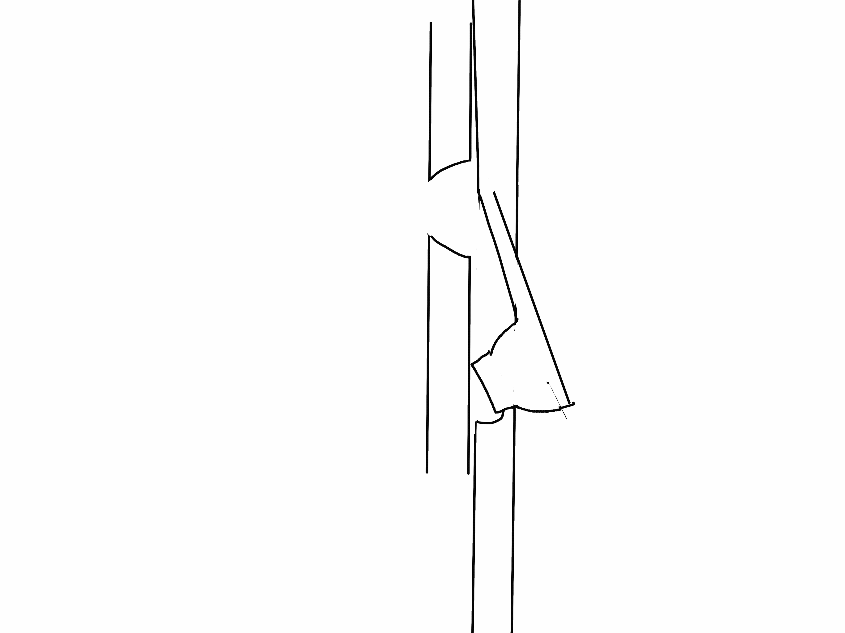 IMG_6702.GIF