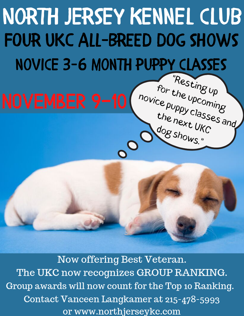 Breed Dog Local Dog Shows Near Me 2019 New Westminster Dog Show - Main Image