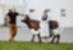 Michael Kerschbaumer; Eva Nuart; Käse; Rohmilch, Kochcampus, Kärnten, Workshop