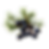 Wacholderbeeren